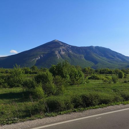 Apartmani Gmitrovic Rtanj Esterno foto