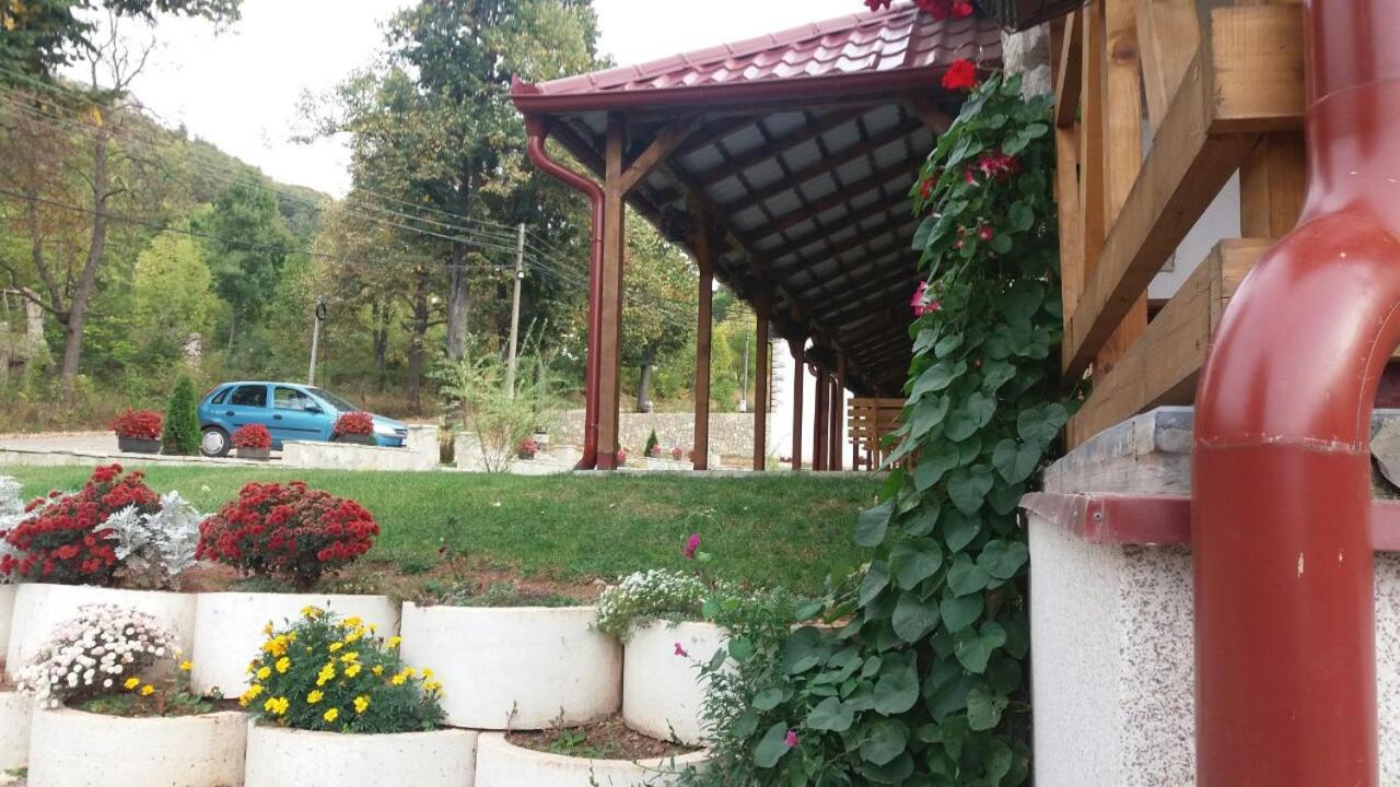 Apartmani Gmitrovic Rtanj Esterno foto